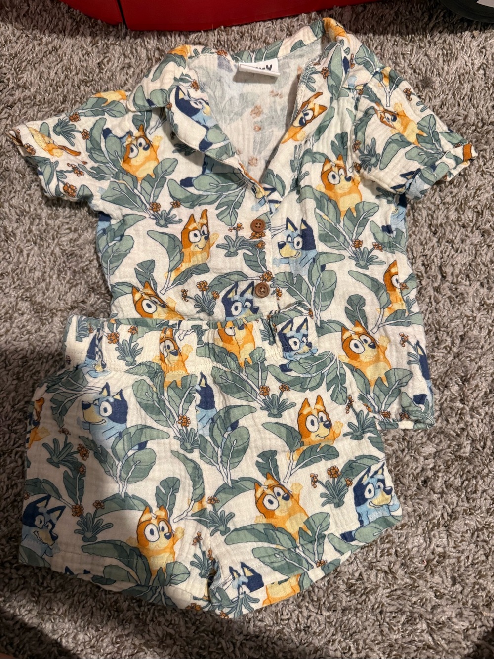 Bluey Kids Short Sleeve Set with Fox Print - White/Green/Blue/Orange